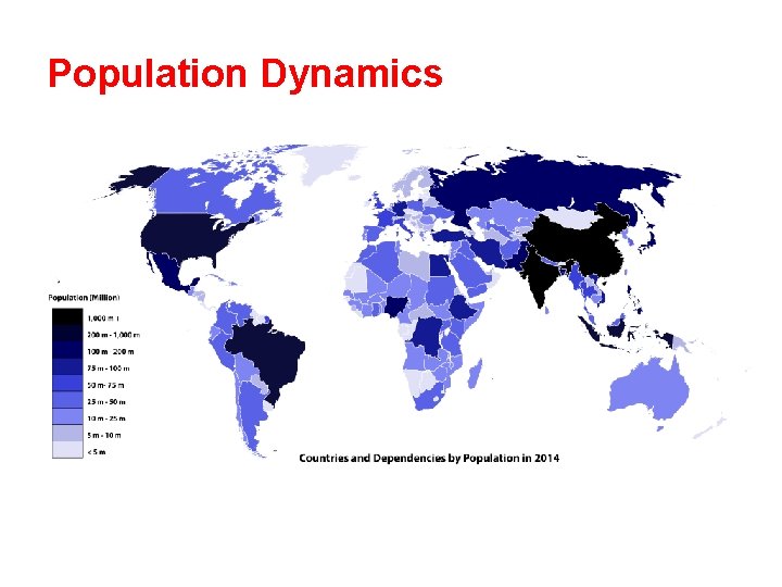 Population Dynamics 