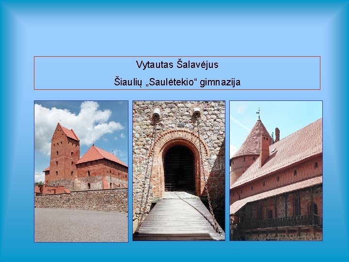 Vytautas Šalavėjus Šiaulių „Saulėtekio“ gimnazija 