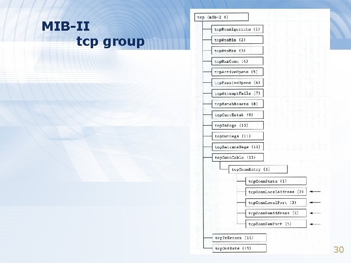 MIB-II tcp group 30 