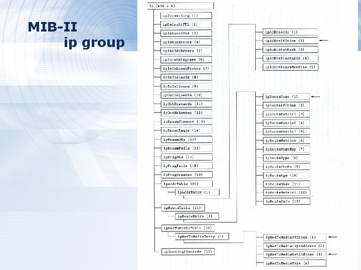 MIB-II ip group 31 