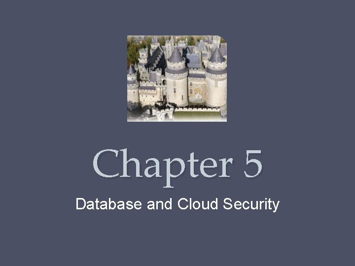 Chapter 5 Database and Cloud Security 