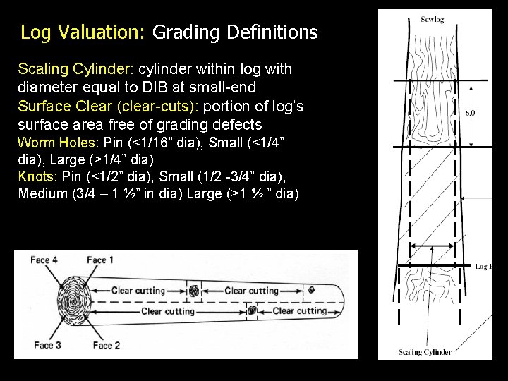 Log Valuation: Grading Definitions Scaling Cylinder: cylinder within log with diameter equal to DIB