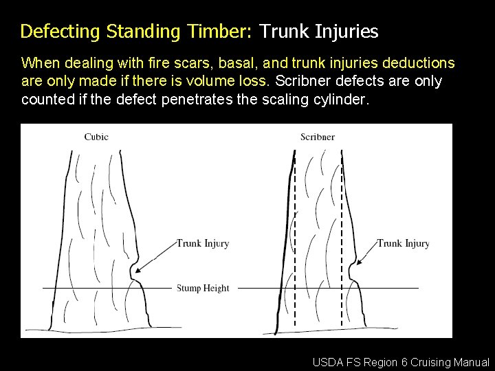 Defecting Standing Timber: Trunk Injuries When dealing with fire scars, basal, and trunk injuries