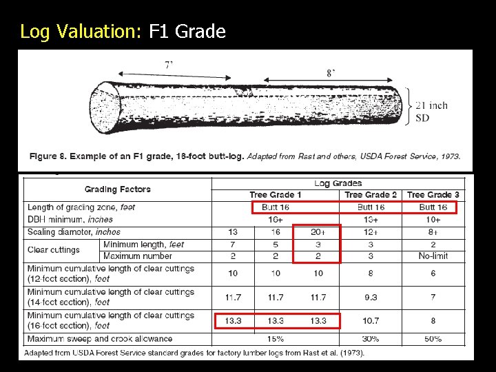Log Valuation: F 1 Grade 