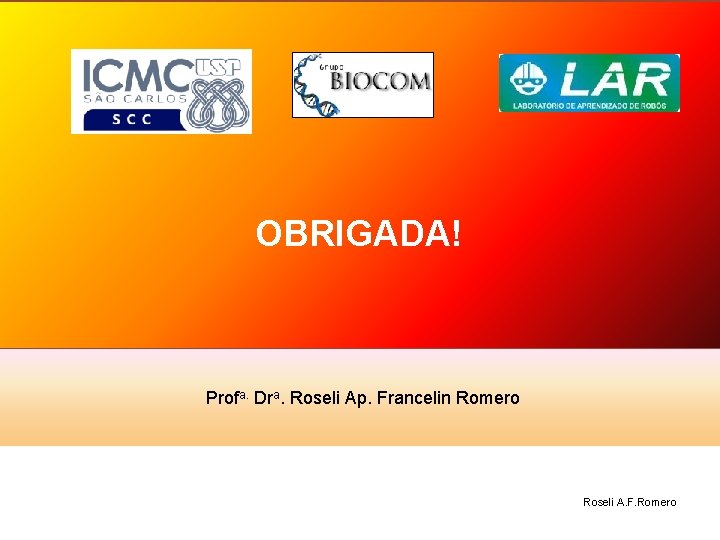 OBRIGADA! Profa. Dra. Roseli Ap. Francelin Romero Roseli A. F. Romero 