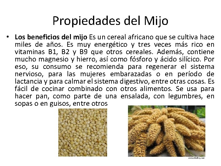 Propiedades del Mijo • Los beneficios del mijo Es un cereal africano que se Propiedades del Mijo • Los beneficios del mijo Es un cereal africano que se