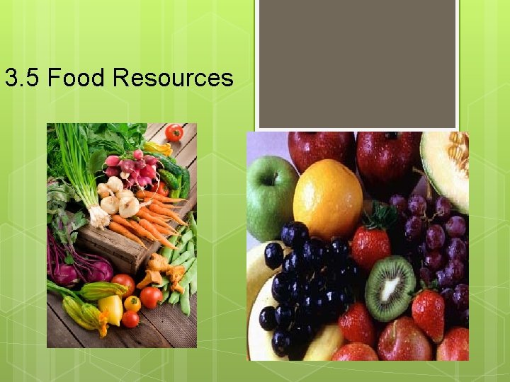 3. 5 Food Resources 