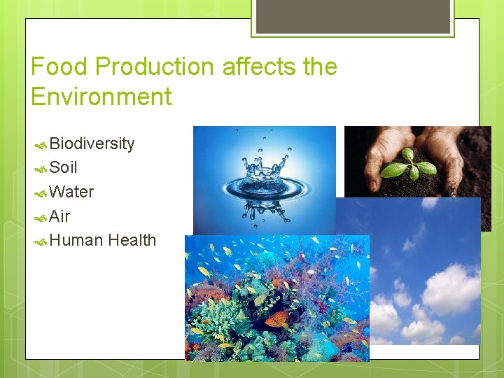 Food Production affects the Environment Biodiversity Soil Water Air Human Health 