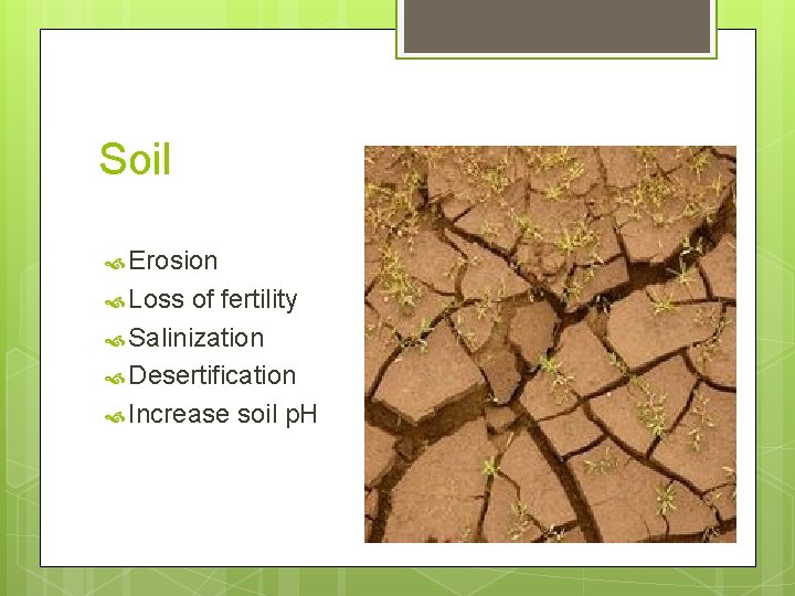 Soil Erosion Loss of fertility Salinization Desertification Increase soil p. H 