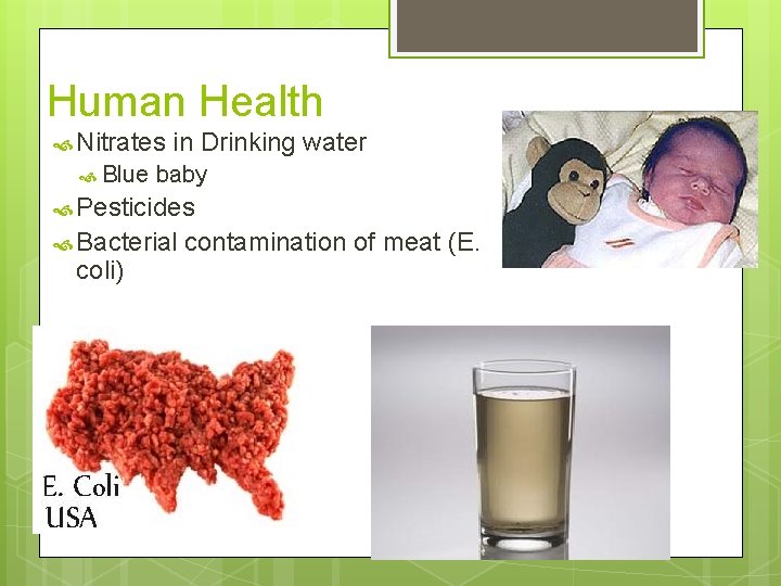 Human Health Nitrates in Drinking water Blue baby Pesticides Bacterial contamination of meat (E.