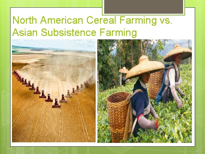 North American Cereal Farming vs. Asian Subsistence Farming 