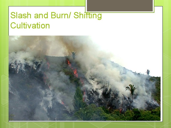 Slash and Burn/ Shifting Cultivation 