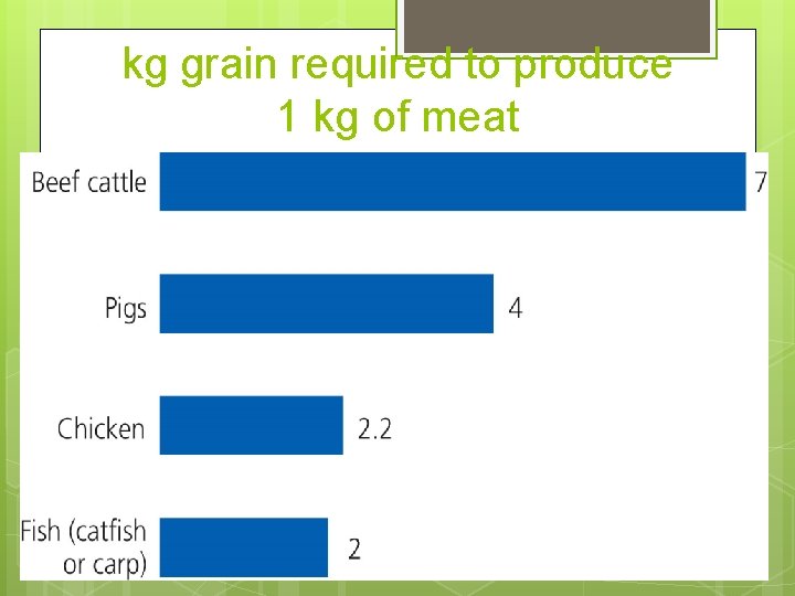 kg grain required to produce 1 kg of meat 