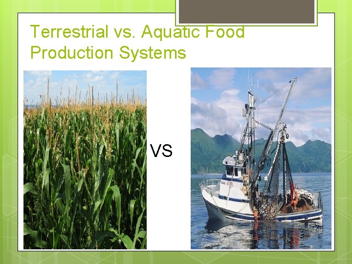 Terrestrial vs. Aquatic Food Production Systems VS 