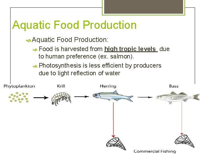 Aquatic Food Production Aquatic Food Production: Food is harvested from high tropic levels due