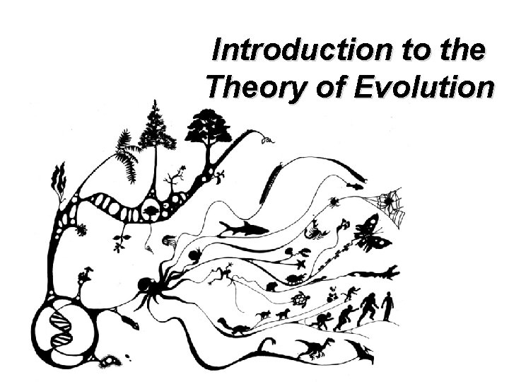 Introduction to the Theory of Evolution 