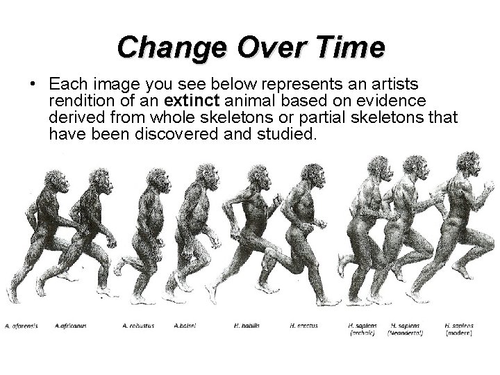 Change Over Time • Each image you see below represents an artists rendition of