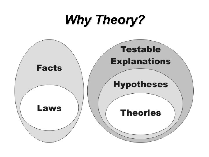 Why Theory? 