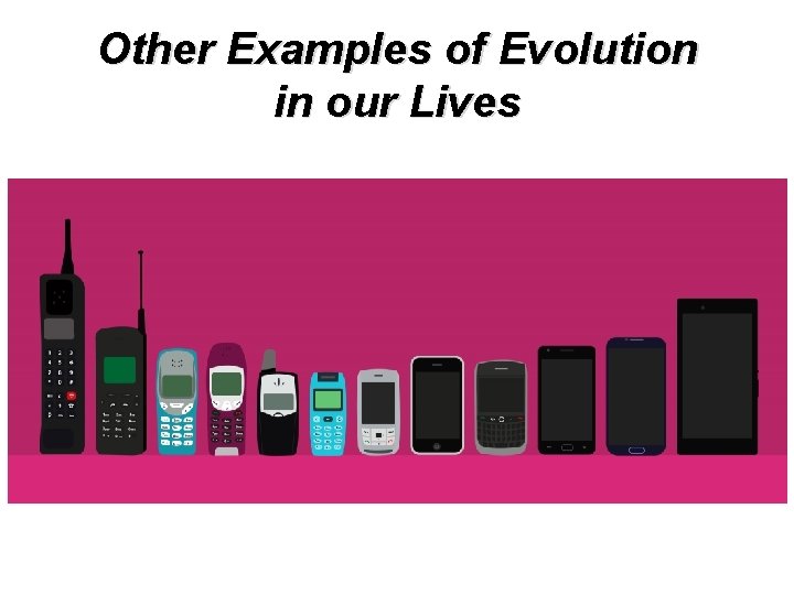 Other Examples of Evolution in our Lives 