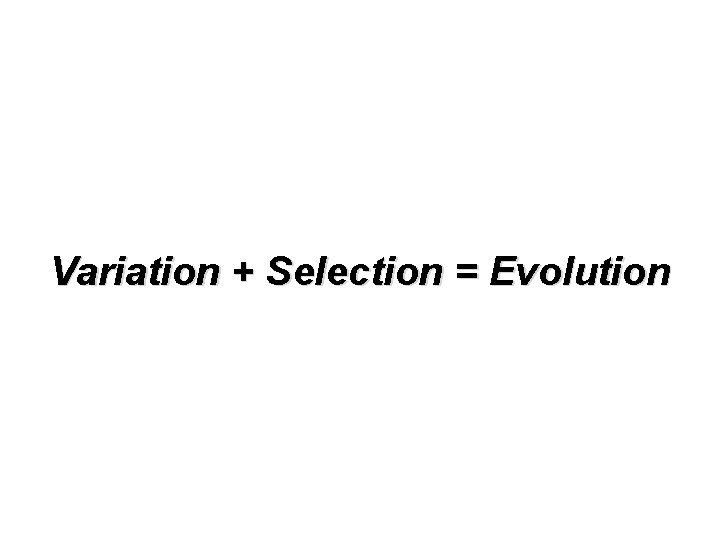 Variation + Selection = Evolution 
