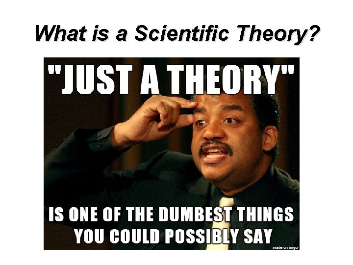 What is a Scientific Theory? 