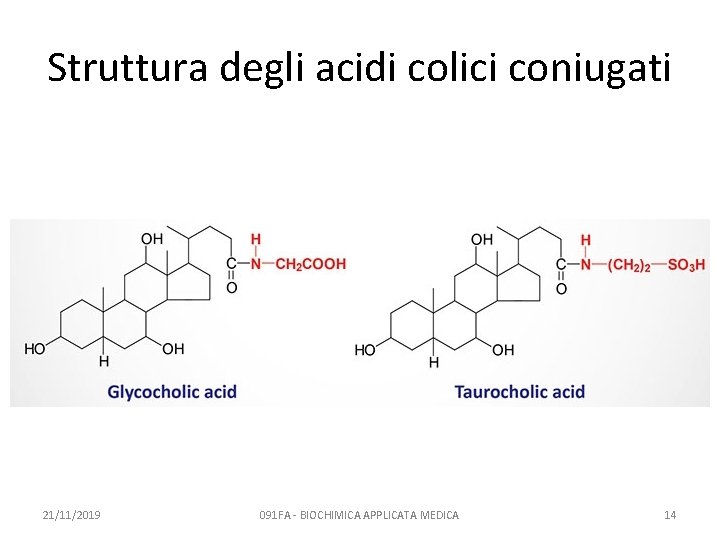 Struttura degli acidi colici coniugati 21/11/2019 091 FA - BIOCHIMICA APPLICATA MEDICA 14 