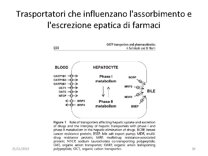 Trasportatori che influenzano l'assorbimento e l'escrezione epatica di farmaci 21/11/2019 091 FA - BIOCHIMICA