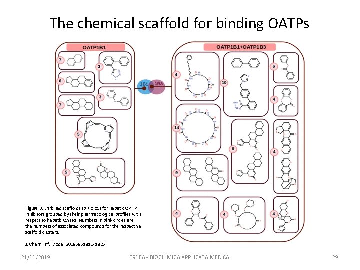 The chemical scaffold for binding OATPs Figure 3. Enriched scaffolds (p < 0. 05)