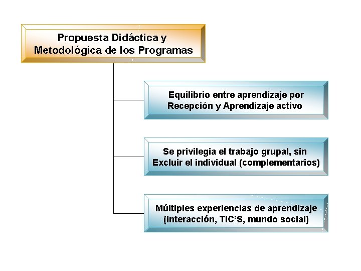 Propuesta Didáctica y Metodológica de los Programas Equilibrio entre aprendizaje por Recepción y Aprendizaje