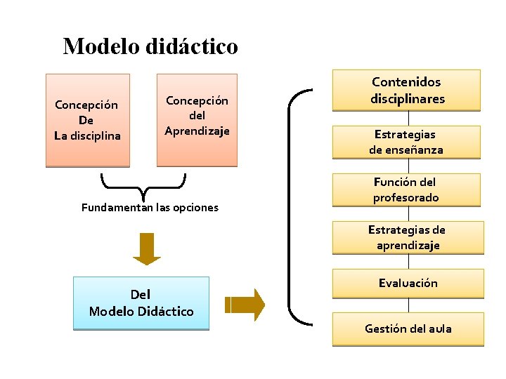 Modelo didáctico Concepción De La disciplina Concepción del Aprendizaje Fundamentan las opciones Contenidos disciplinares