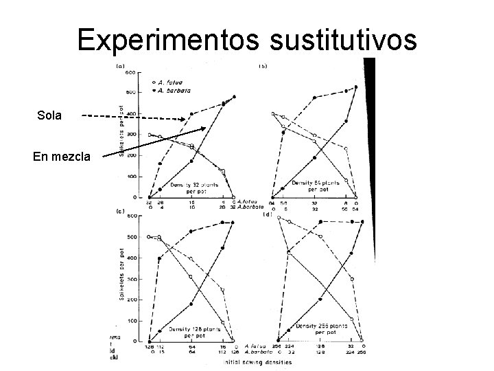 Experimentos sustitutivos Sola En mezcla 