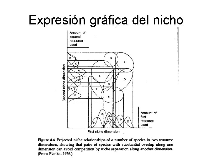 Expresión gráfica del nicho 