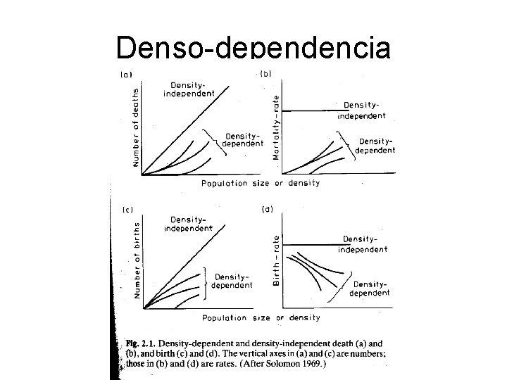 Denso-dependencia 