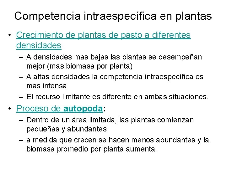 Competencia intraespecífica en plantas • Crecimiento de plantas de pasto a diferentes densidades –
