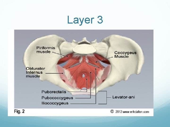 Layer 3 Layer 3