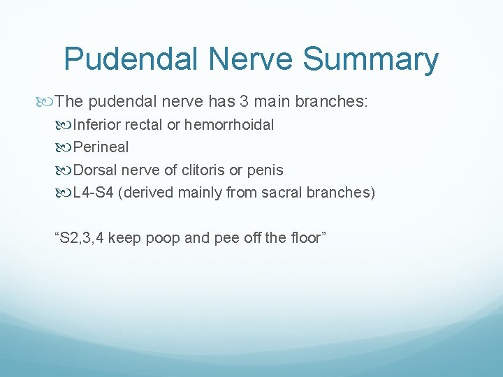 Pudendal Nerve Summary The pudendal nerve has 3 main branches: Inferior rectal or hemorrhoidal Pudendal Nerve Summary The pudendal nerve has 3 main branches: Inferior rectal or hemorrhoidal