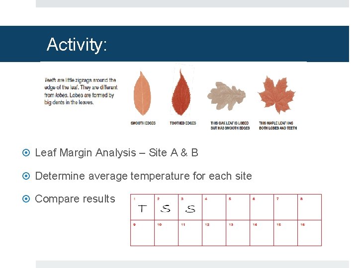 Activity: Leaf Margin Analysis – Site A & B Determine average temperature for each