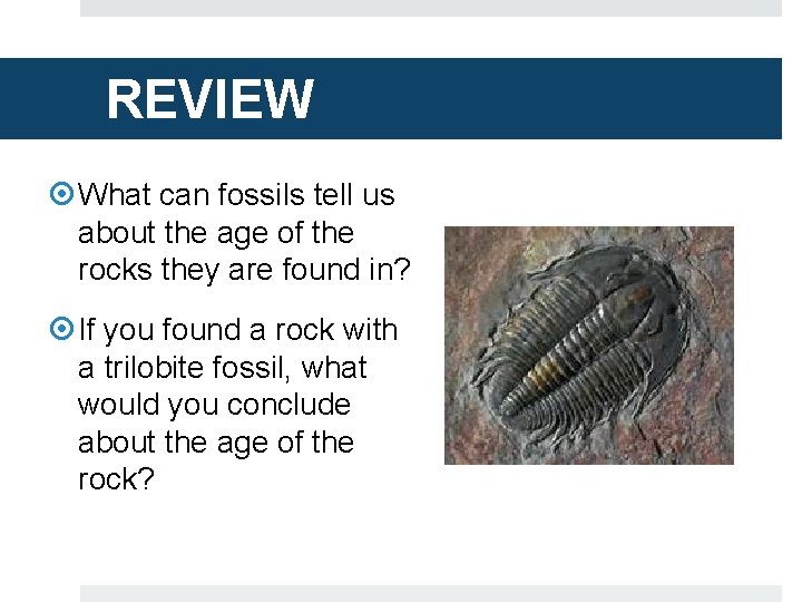 REVIEW What can fossils tell us about the age of the rocks they are