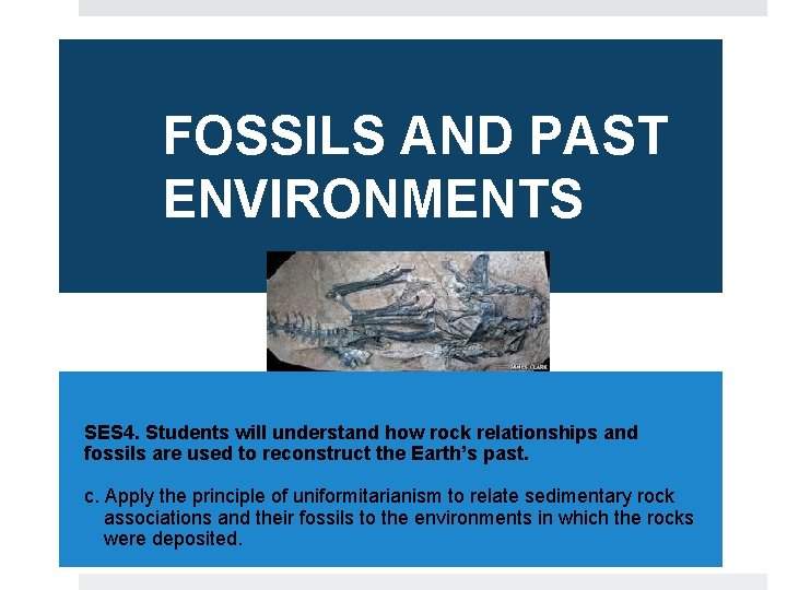 FOSSILS AND PAST ENVIRONMENTS SES 4. Students will understand how rock relationships and fossils
