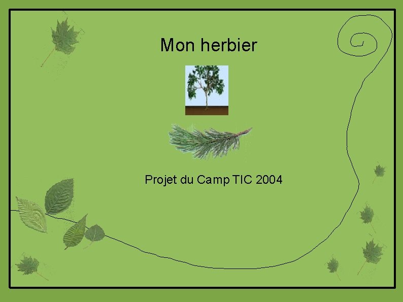 Mon herbier Projet du Camp TIC 2004 