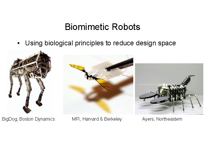 Biomimetic Robots • Using biological principles to reduce design space Big. Dog; Boston Dynamics Biomimetic Robots • Using biological principles to reduce design space Big. Dog; Boston Dynamics