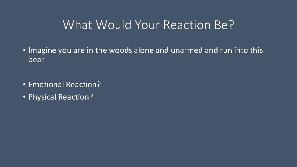 What Would Your Reaction Be? • Imagine you are in the woods alone and What Would Your Reaction Be? • Imagine you are in the woods alone and