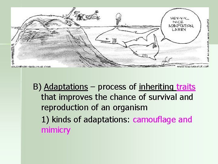 B) Adaptations – process of inheriting traits that improves the chance of survival and