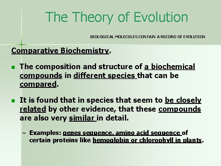 The Theory of Evolution BIOLOGICAL MOLECULES CONTAIN A RECORD OF EVOLUTION Comparative Biochemistry. n