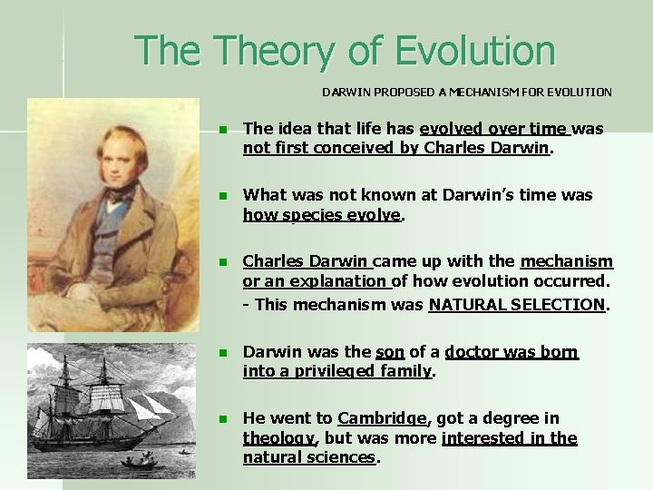 The Theory of Evolution DARWIN PROPOSED A MECHANISM FOR EVOLUTION n The idea that