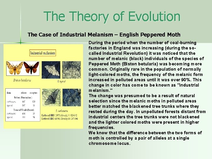 The Theory of Evolution The Case of Industrial Melanism – English Peppered Moth During