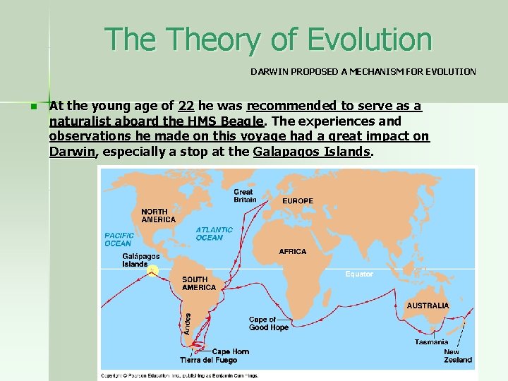 The Theory of Evolution DARWIN PROPOSED A MECHANISM FOR EVOLUTION n At the young