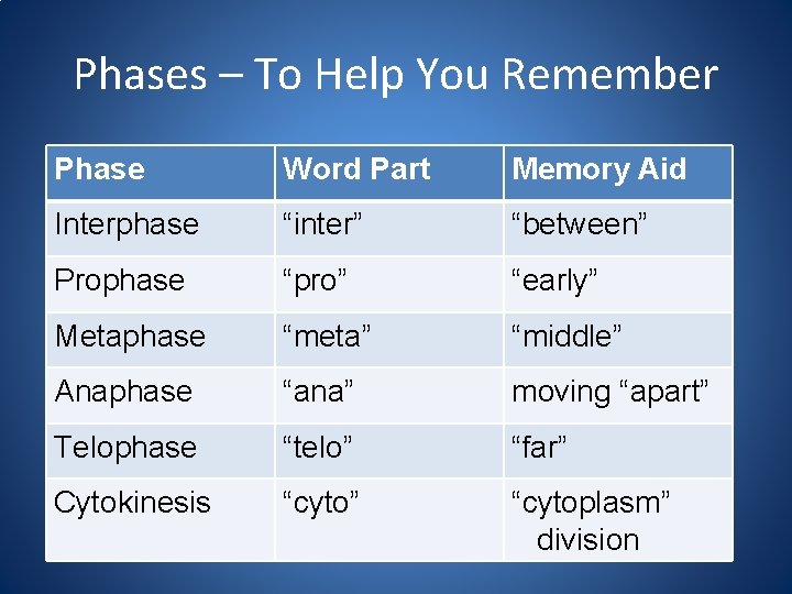 Phases – To Help You Remember Phase Word Part Memory Aid Interphase “inter” “between”