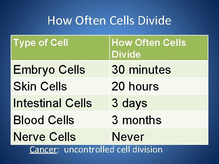 How Often Cells Divide Type of Cell How Often Cells Divide Embryo Cells Skin