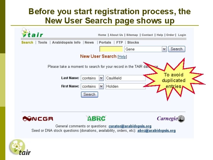 Before you start registration process, the New User Search page shows up To avoid